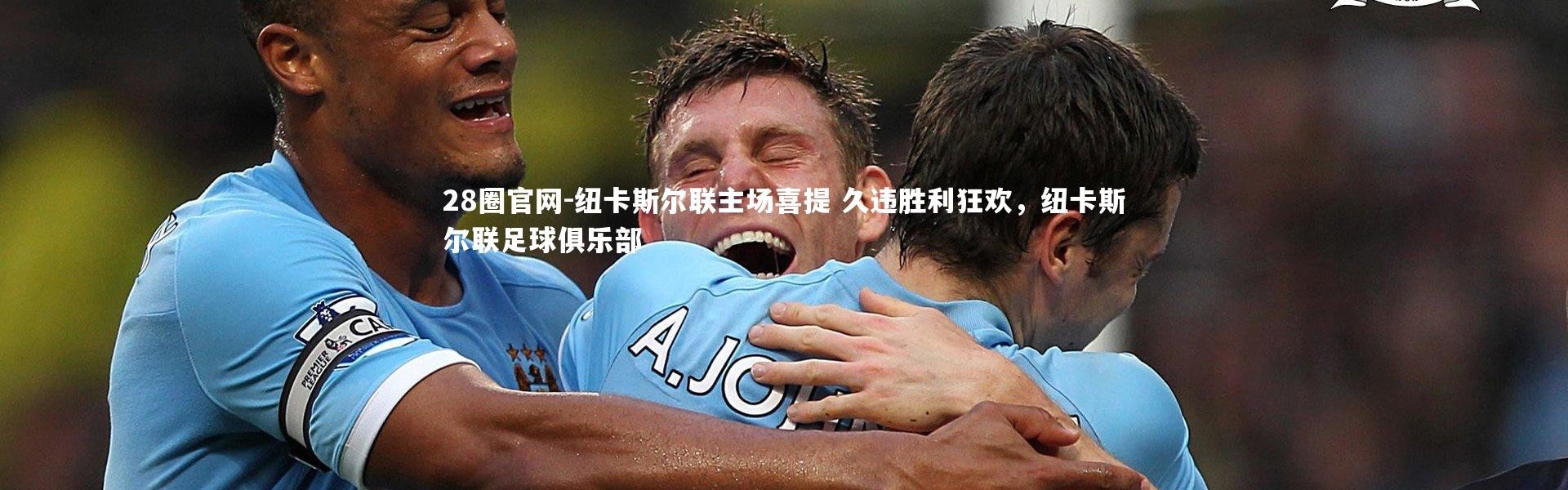 28圈官网-纽卡斯尔联主场喜提 久违胜利狂欢，纽卡斯尔联足球俱乐部