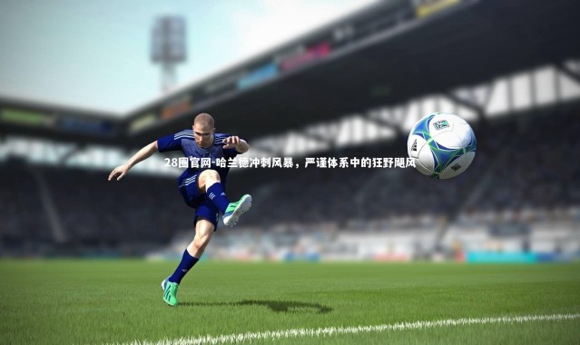 28圈官网-哈兰德冲刺风暴，严谨体系中的狂野飓风