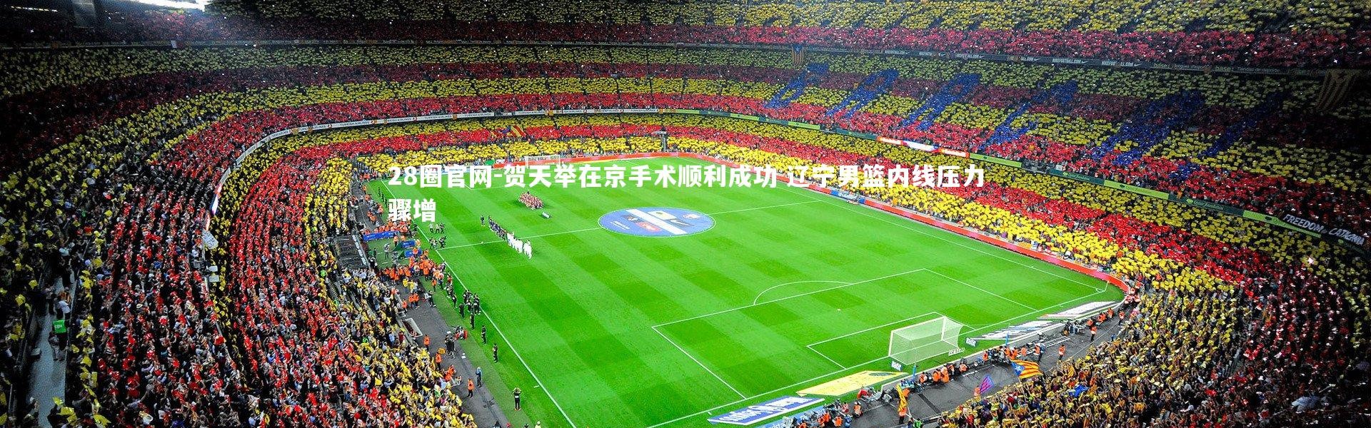 28圈官网-贺天举在京手术顺利成功 辽宁男篮内线压力骤增