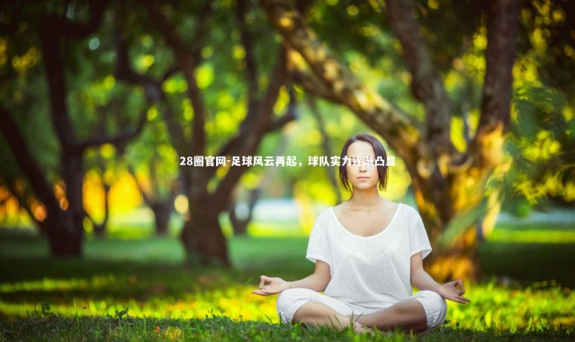 28圈官网-足球风云再起，球队实力逐渐凸显