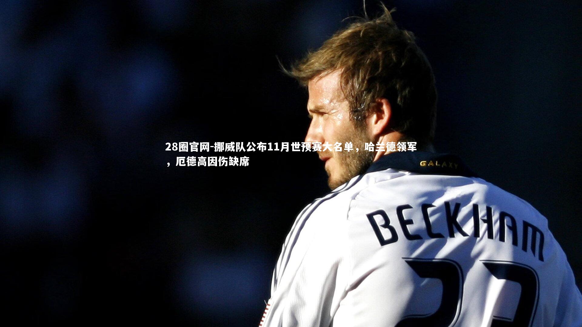 挪威队公布11月世预赛大名单，哈兰德领军，厄德高因伤缺席