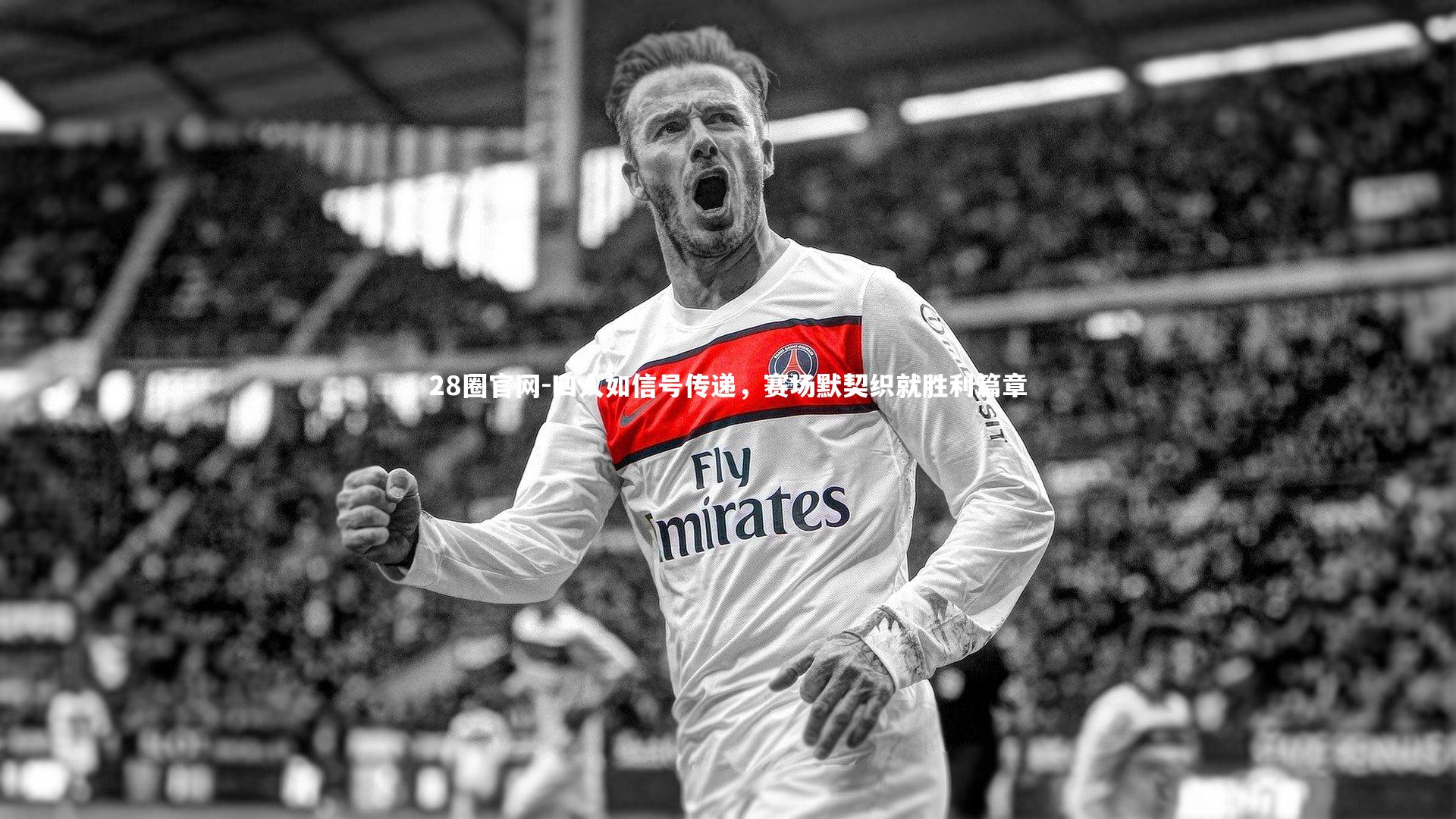 四人如信号传递,赛场默契织就胜利篇章